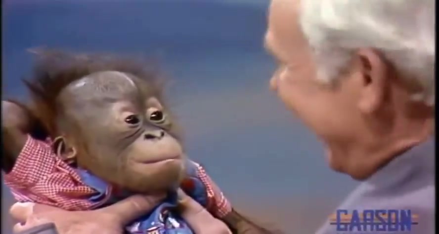 Johnny Carson and the Stoic Orangutan