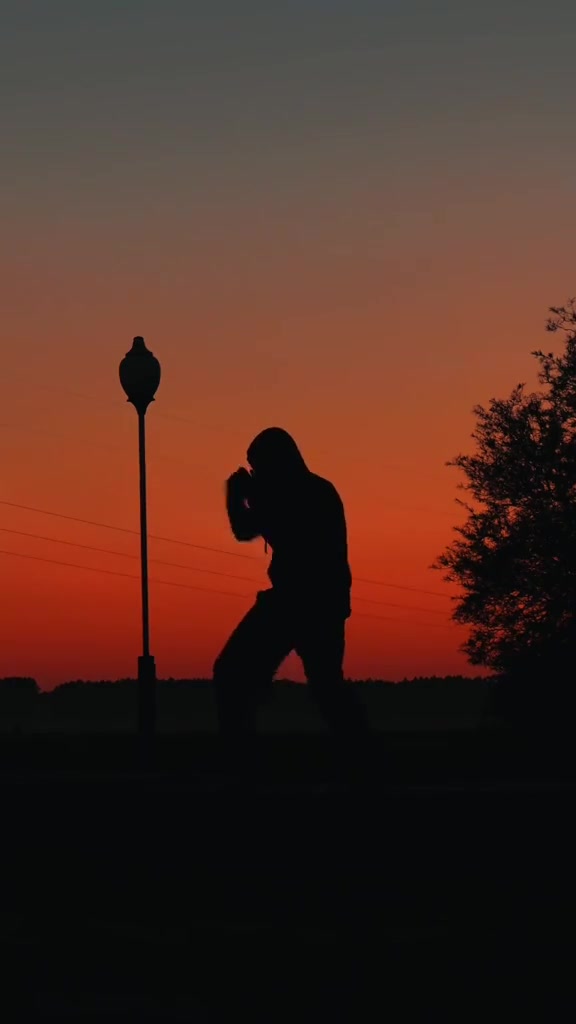 Shadow Boxer At Sunset