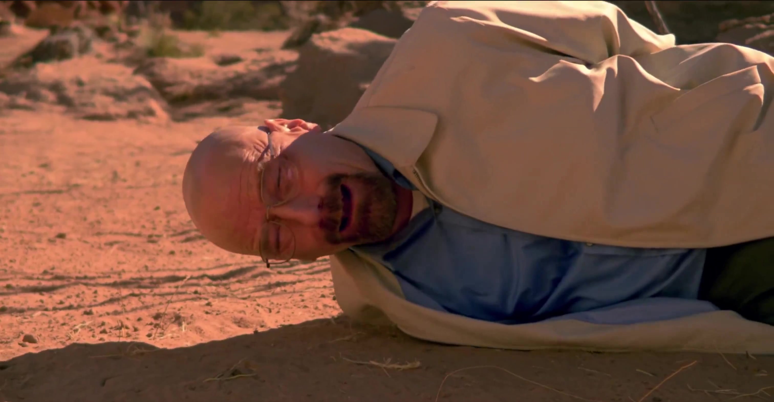 Walter White Breaking Down in the Desert