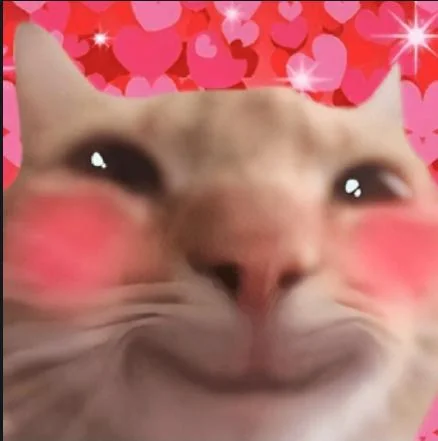 Blushing cat meme
