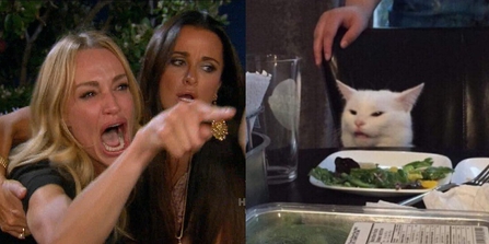 Woman Yelling at a Confused Cat
